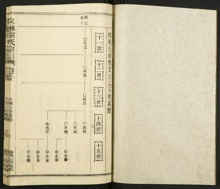 湖北严氏族谱-义水严氏宗谱.pdf电子版插图1