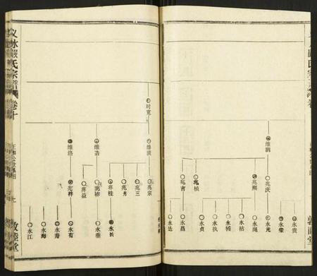 湖北严氏族谱-义水严氏宗谱.pdf电子版插图2