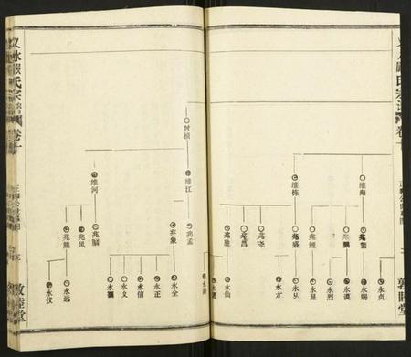 湖北严氏族谱-义水严氏宗谱.pdf电子版插图3