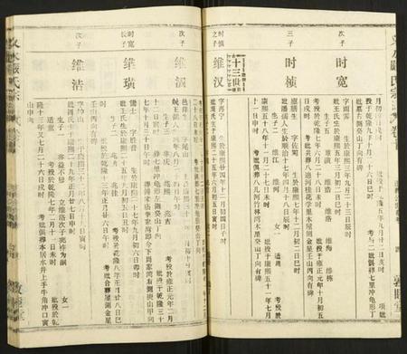 湖北严氏族谱-义水严氏宗谱.pdf电子版插图5