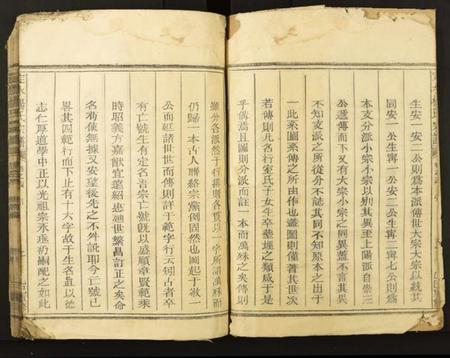 四川杨氏族谱-定水杨氏宗谱.pdf电子版插图2 四川杨氏族谱-定水杨氏宗谱.pdf电子版插图2