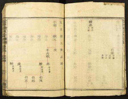 四川杨氏族谱-定水杨氏宗谱.pdf电子版插图4 四川杨氏族谱-定水杨氏宗谱.pdf电子版插图4