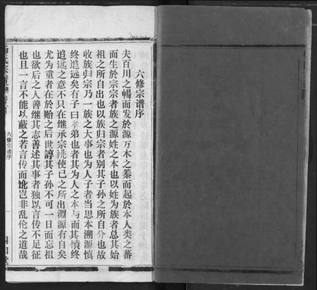 湖北杨氏族谱-杨氏宗谱.pdf电子版插图2