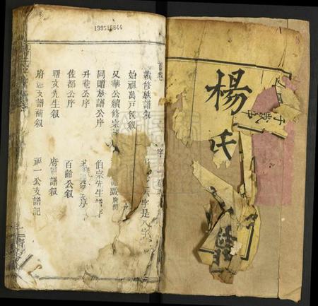 湖北杨氏族谱-杨氏宗谱.pdf电子版插图1