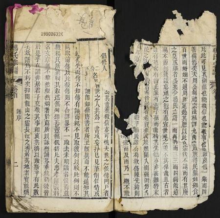 湖北杨氏族谱-杨氏宗谱.pdf电子版插图2 湖北杨氏族谱-杨氏宗谱.pdf电子版插图2