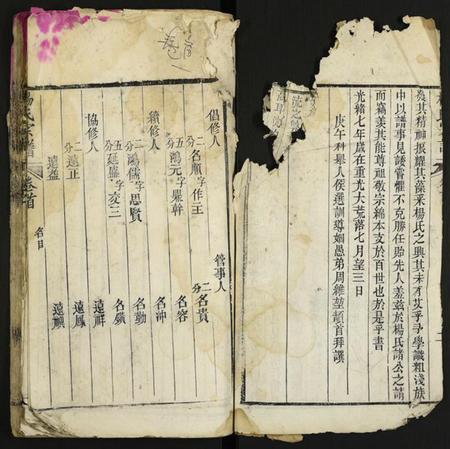 湖北杨氏族谱-杨氏宗谱.pdf电子版插图3 湖北杨氏族谱-杨氏宗谱.pdf电子版插图3