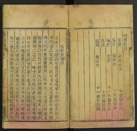 湖北杨氏族谱-杨氏宗谱 [10卷].pdf电子版插图3