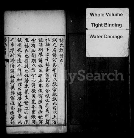 湖北杨氏族谱-杨氏宗谱 [6卷,首2卷].pdf电子版插图3