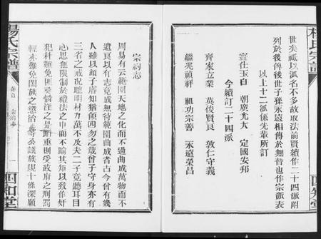 湖北杨氏族谱-杨氏宗谱(影印本1943年谱).pdf电子版插图2