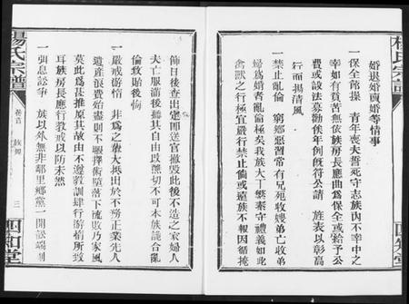 湖北杨氏族谱-杨氏宗谱(影印本1943年谱).pdf电子版插图4