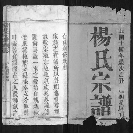 湖北杨氏族谱-杨氏宗谱[不分卷].pdf电子版插图1