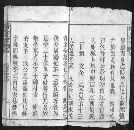 湖北杨氏族谱-杨氏宗谱[不分卷].pdf电子版插图2