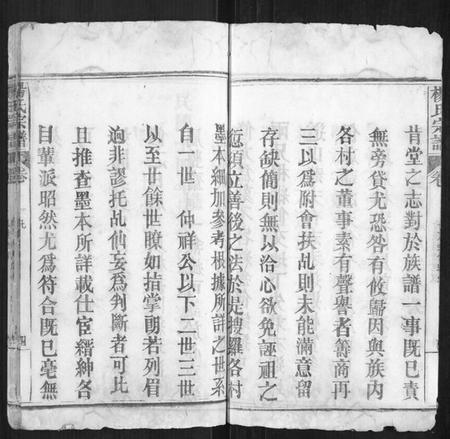 湖北杨氏族谱-杨氏宗谱[不分卷].pdf电子版插图5