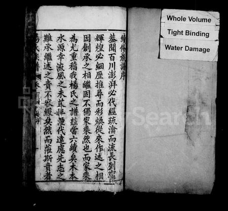 湖北杨氏族谱-杨氏族谱 [20卷,及卷首].pdf电子版插图1