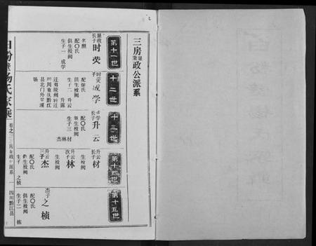 湖北杨氏族谱-白粉壁杨氏宗谱.pdf电子版插图1