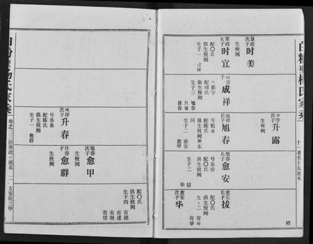 湖北杨氏族谱-白粉壁杨氏宗谱.pdf电子版插图2