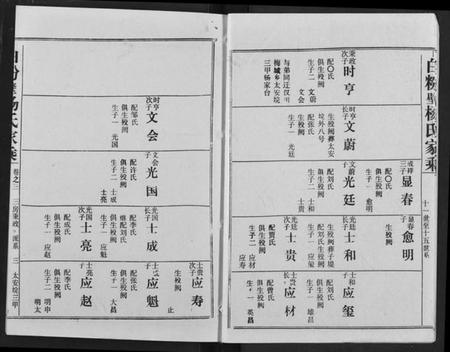 湖北杨氏族谱-白粉壁杨氏宗谱.pdf电子版插图3