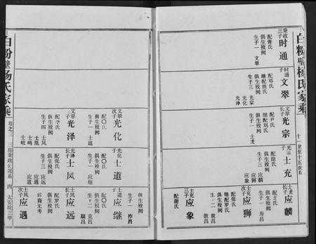 湖北杨氏族谱-白粉壁杨氏宗谱.pdf电子版插图4