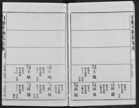 湖北杨氏族谱-白粉壁杨氏宗谱.pdf电子版插图5