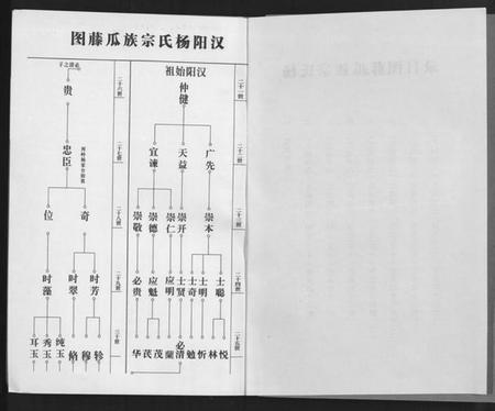湖北杨氏族谱-杨氏宗谱 [甲编4卷,乙编12卷,系图2卷].pdf电子版插图2
