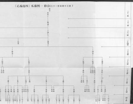 湖北杨氏族谱-杨氏宗谱 [甲编4卷,乙编12卷,系图2卷].pdf电子版插图3