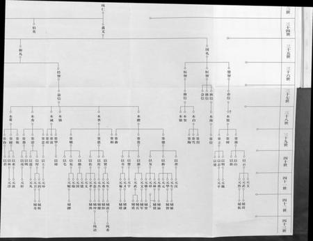湖北杨氏族谱-杨氏宗谱 [甲编4卷,乙编12卷,系图2卷].pdf电子版插图4