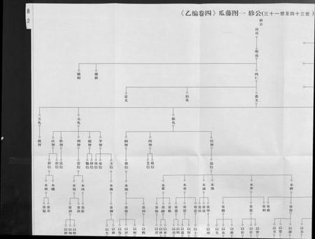 湖北杨氏族谱-杨氏宗谱 [甲编4卷,乙编12卷,系图2卷].pdf电子版插图5