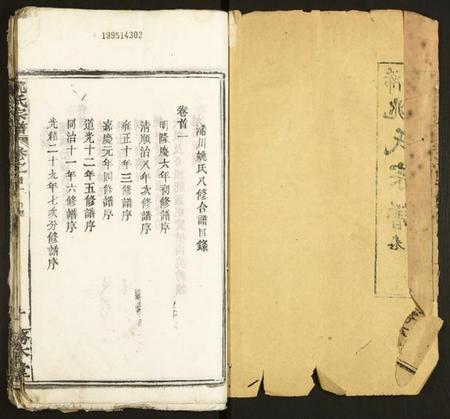 湖北姚氏族谱-姚氏宗谱.pdf电子版插图1