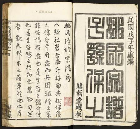 湖北姚氏族谱-姚氏宗谱.pdf电子版插图1