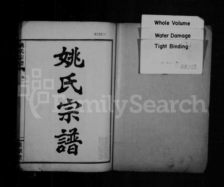 湖北姚氏族谱-姚氏宗谱 [正编12卷,首编8卷].pdf电子版插图1