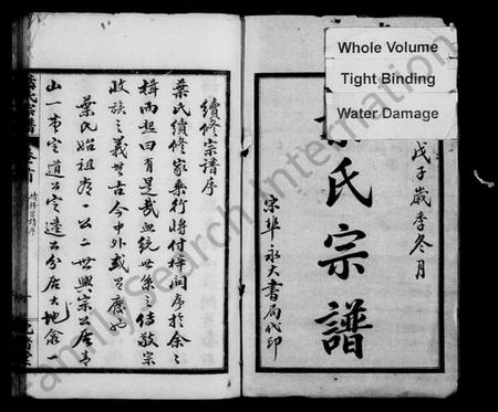 湖北叶氏族谱-叶氏宗谱 [9卷,及卷首].pdf电子版插图1