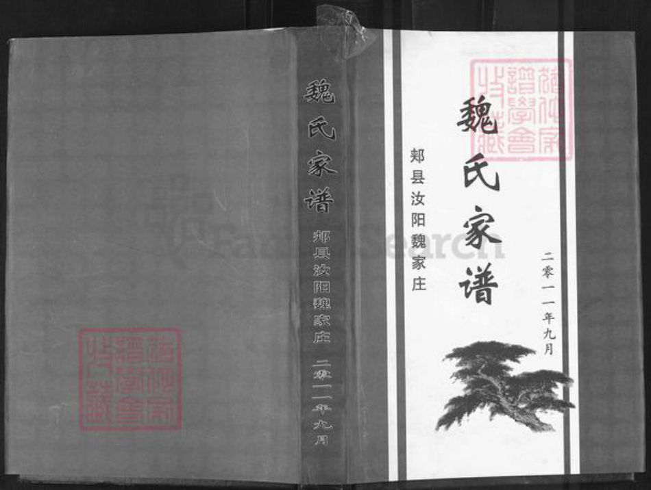 河南省平顶山郏县堂街镇魏氏族谱-魏氏家谱.pdf电子版