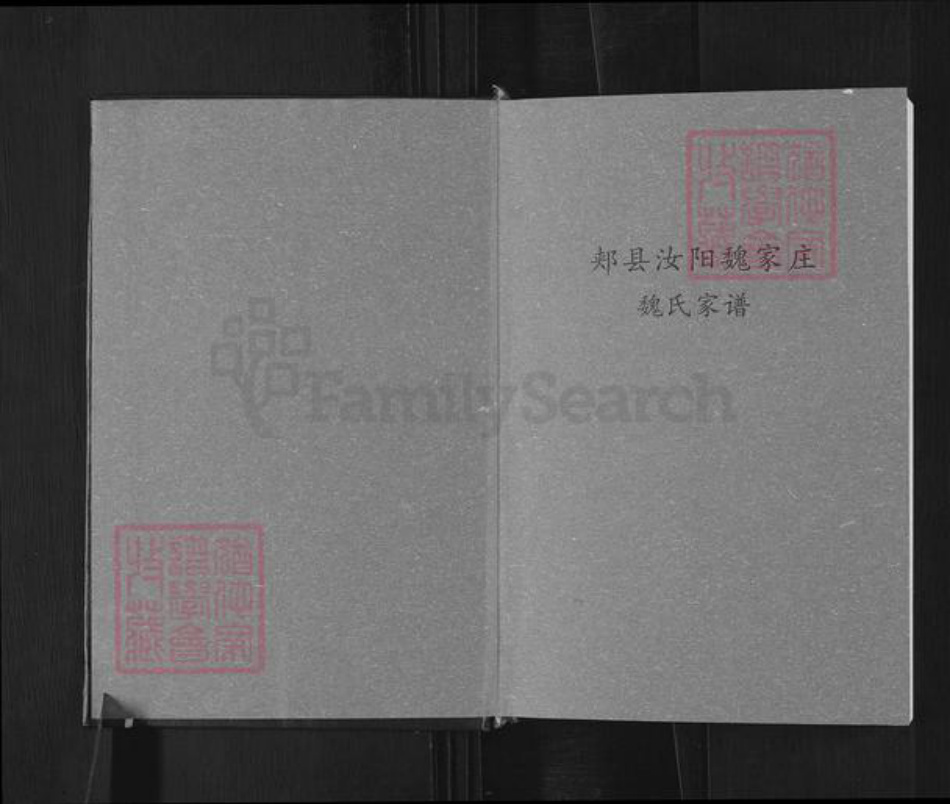 河南省平顶山郏县堂街镇魏氏族谱-魏氏家谱.pdf电子版插图1