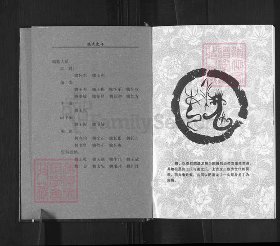 河南省平顶山郏县堂街镇魏氏族谱-魏氏家谱.pdf电子版插图2