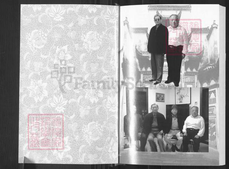 河南省平顶山郏县堂街镇魏氏族谱-魏氏家谱.pdf电子版插图3