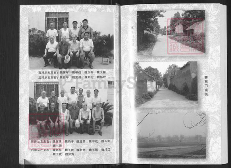 河南省平顶山郏县堂街镇魏氏族谱-魏氏家谱.pdf电子版插图4