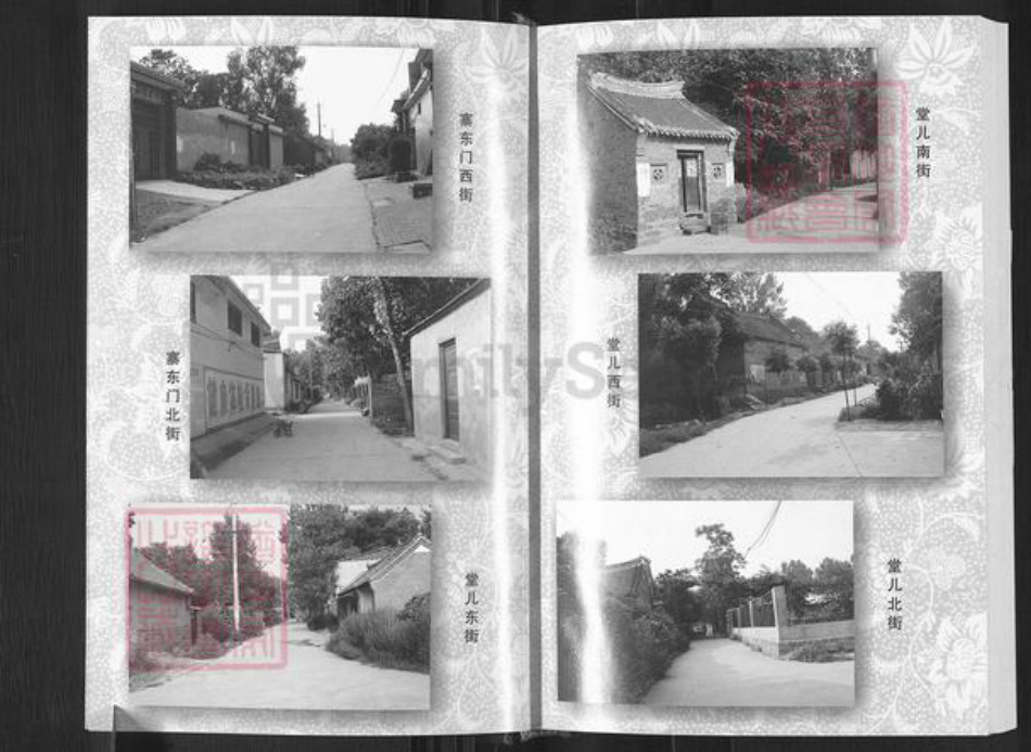 河南省平顶山郏县堂街镇魏氏族谱-魏氏家谱.pdf电子版插图5