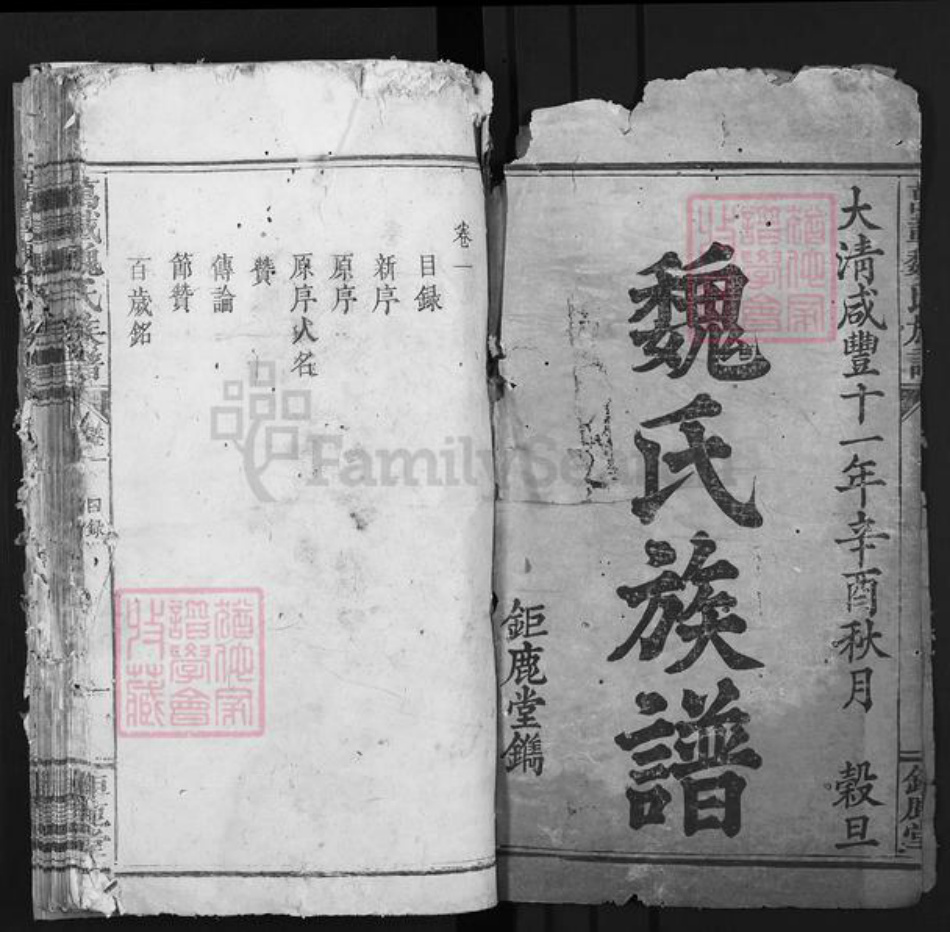 江西省宜春市万载县魏氏巨鹿堂族谱-万载魏氏族谱.pdf电子版插图1