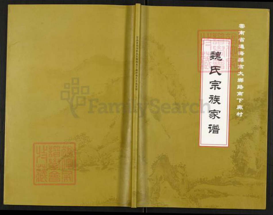 云南省玉溪市通海县高大傣族彝族乡魏氏族谱-魏氏宗族家谱.pdf电子版