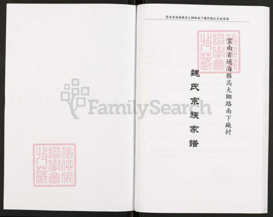 云南省玉溪市通海县高大傣族彝族乡魏氏族谱-魏氏宗族家谱.pdf电子版插图1