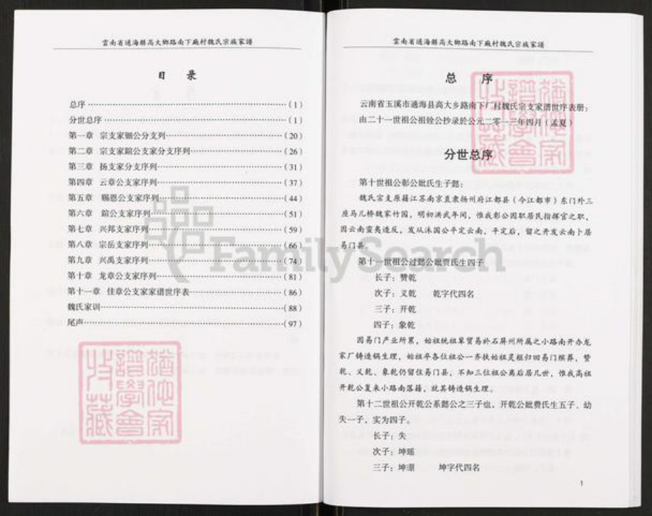 云南省玉溪市通海县高大傣族彝族乡魏氏族谱-魏氏宗族家谱.pdf电子版插图3