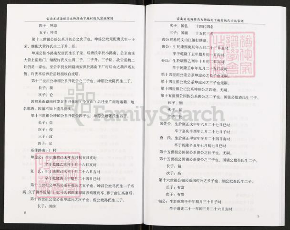 云南省玉溪市通海县高大傣族彝族乡魏氏族谱-魏氏宗族家谱.pdf电子版插图4