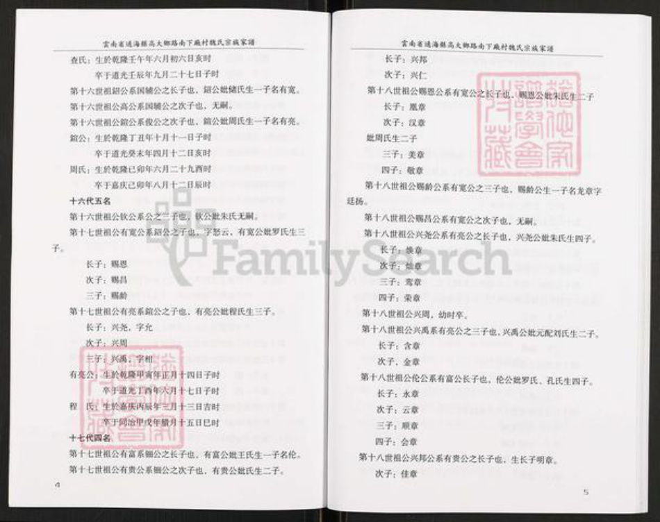 云南省玉溪市通海县高大傣族彝族乡魏氏族谱-魏氏宗族家谱.pdf电子版插图5