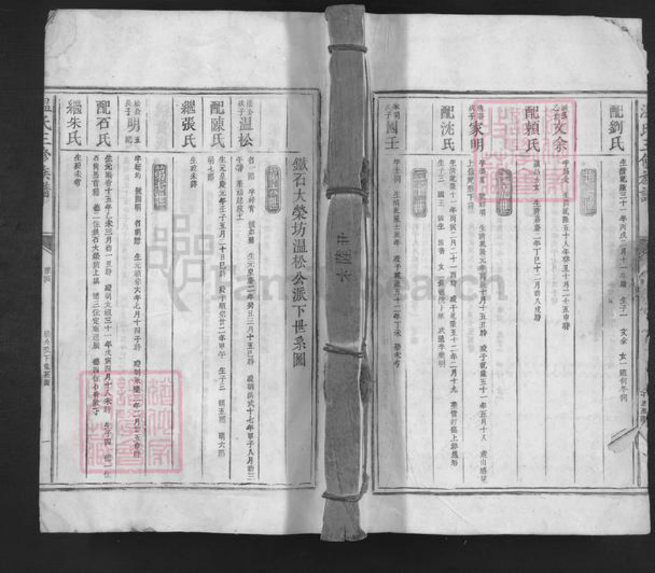 广东省深圳市温氏族谱-温氏三修族谱.pdf电子版