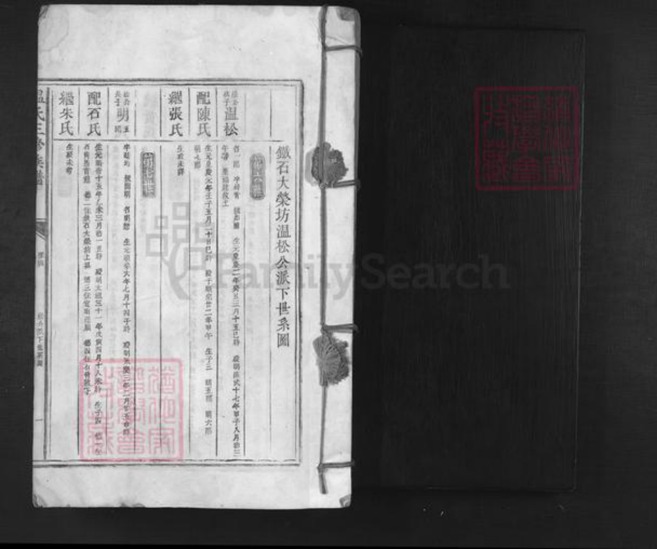 广东省深圳市温氏族谱-温氏三修族谱.pdf电子版插图1