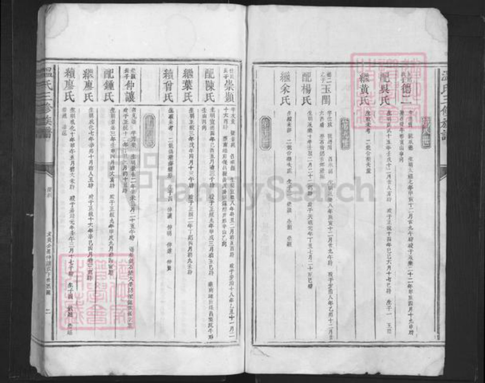 广东省深圳市温氏族谱-温氏三修族谱.pdf电子版插图2