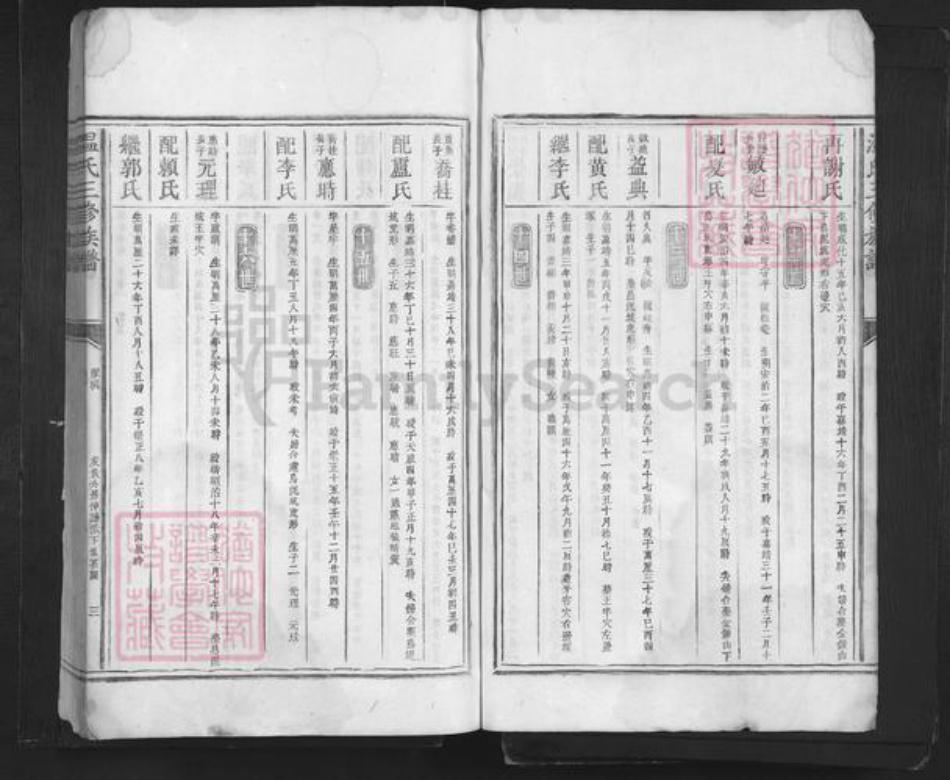 广东省深圳市温氏族谱-温氏三修族谱.pdf电子版插图3