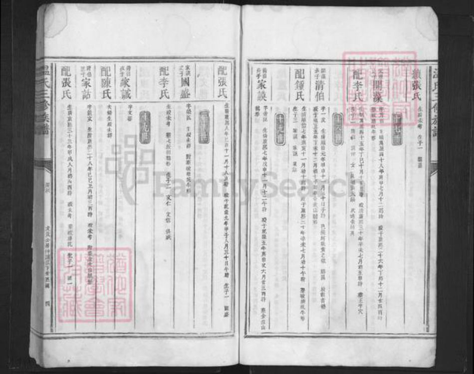 广东省深圳市温氏族谱-温氏三修族谱.pdf电子版插图4