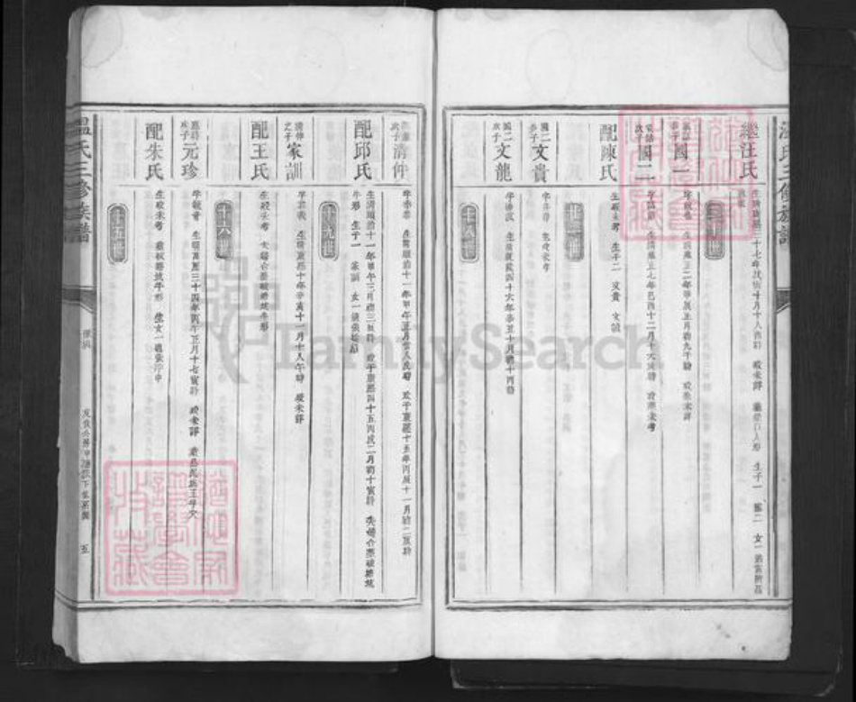 广东省深圳市温氏族谱-温氏三修族谱.pdf电子版插图5