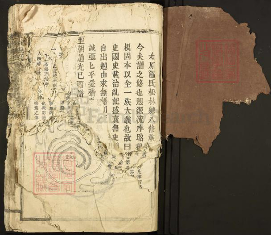 江西省赣州市石城县温氏族谱-太原温氏.pdf电子版插图1